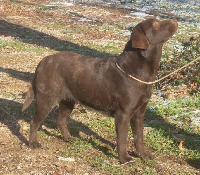 Donna de L'Etang du Catchou