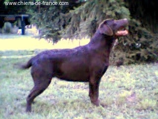 Reglisse ii Des dunes des argilas