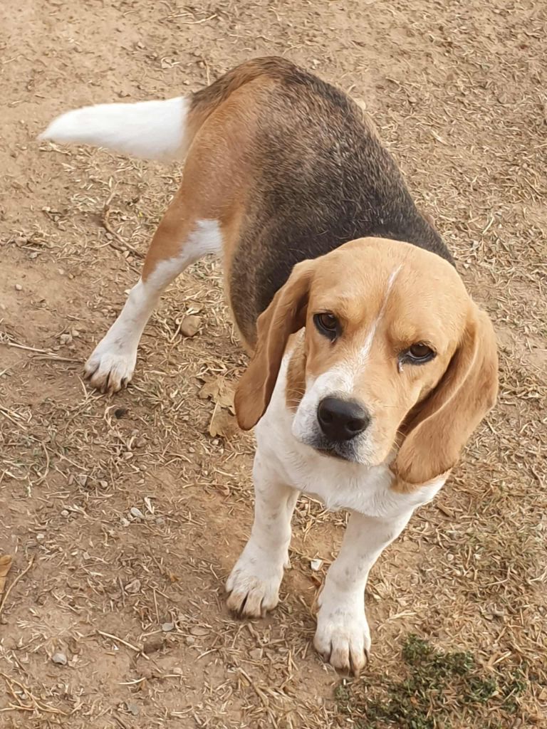 Sabba dit sephora du rocher de Notre Dame