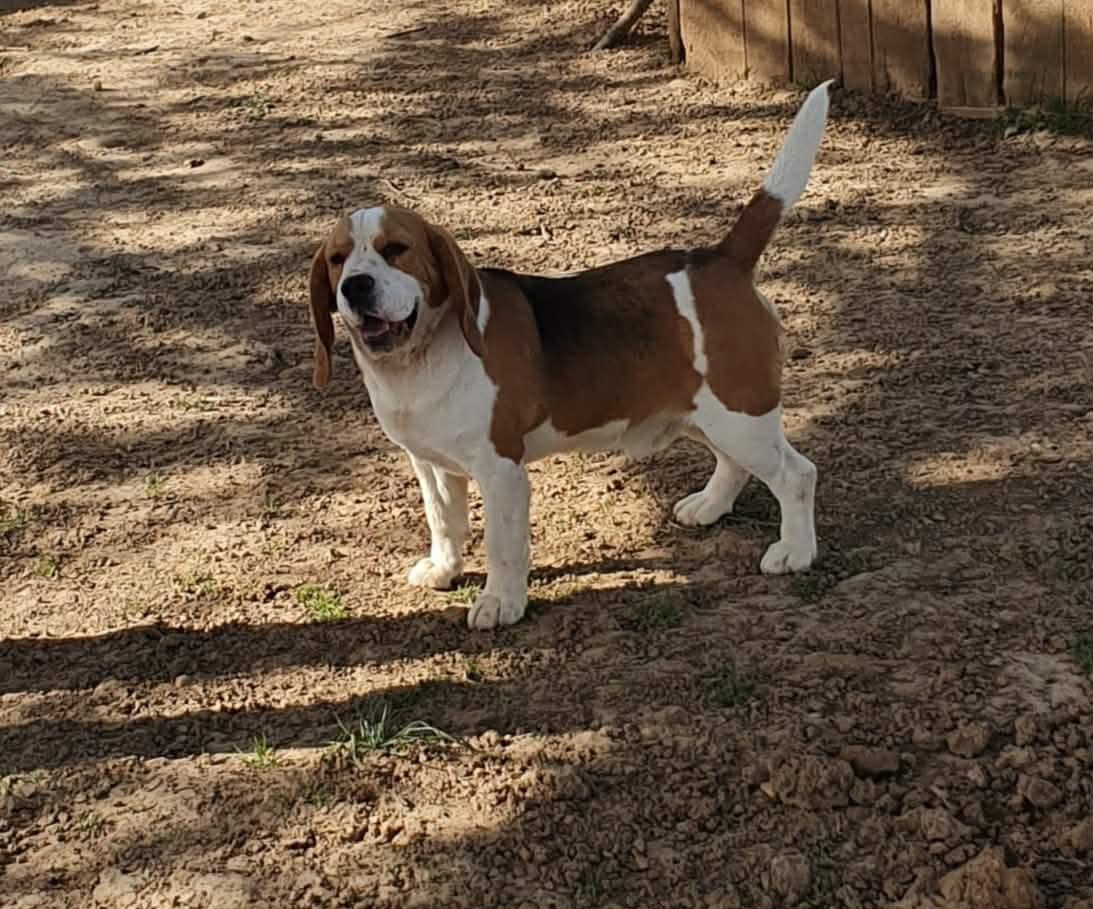 ulk des terres du baron